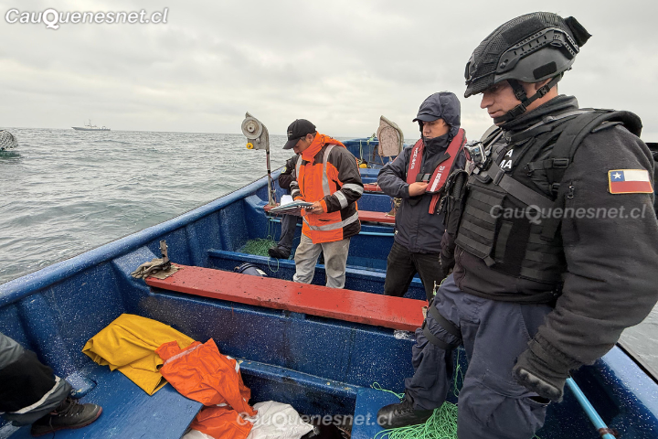 Sernapesca Maule incautó más de 21 toneladas de jibia en zona de pesca