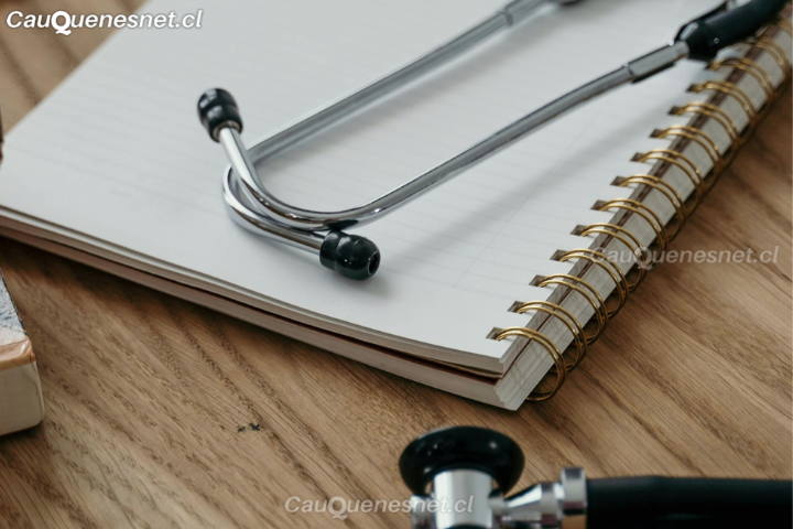 Segundo balance sobre sumarios por licencias médicas: se actualizan cifras totales y estimación de costos para el Fisco