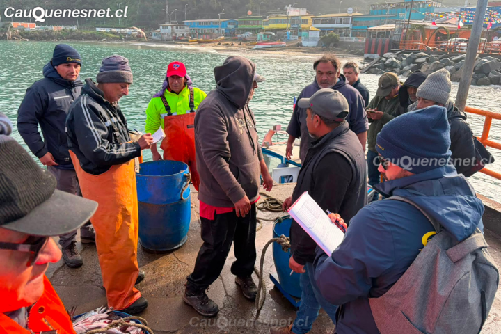 Pesca artesanal: este 01 de julio inició proceso de certificación de desembarque de merluza común