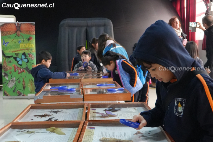En Cauquenes estudiantes disfrutan y aprenden de forma interactiva sobre insectos