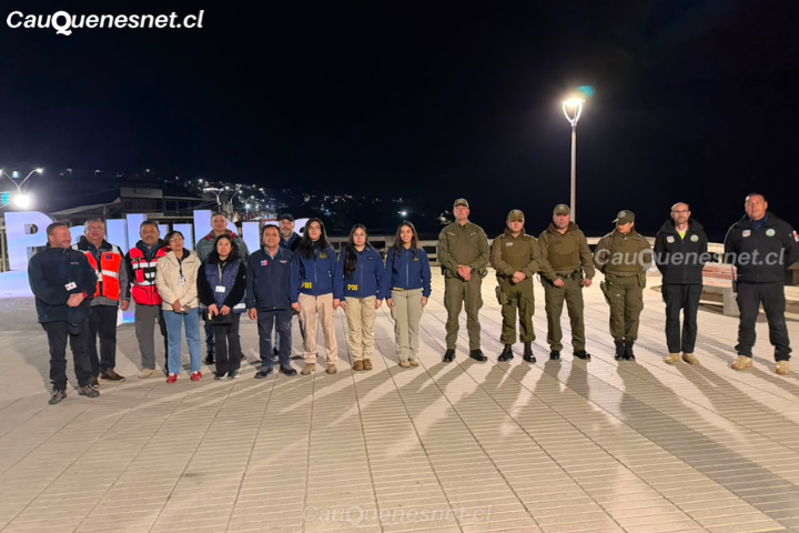 En Pelluhue fiscalización nocturna dejó como saldo tres sumarios sanitarios y una discoteca con prohibición de funcionamiento